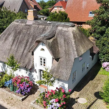 Uns Witte Kaat Casa de Férias *